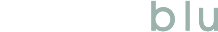 Austin Blu Logo