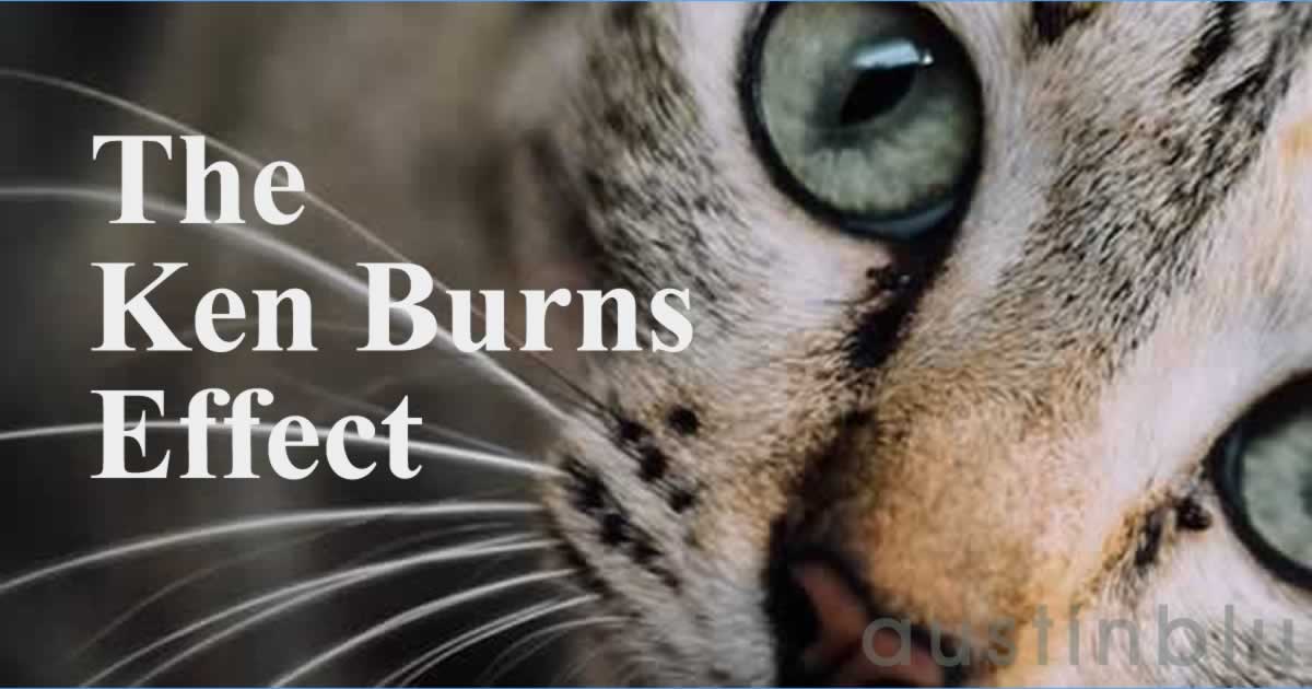 The Ken Burns Effect - Austin Blu - Cincinnati Website Design